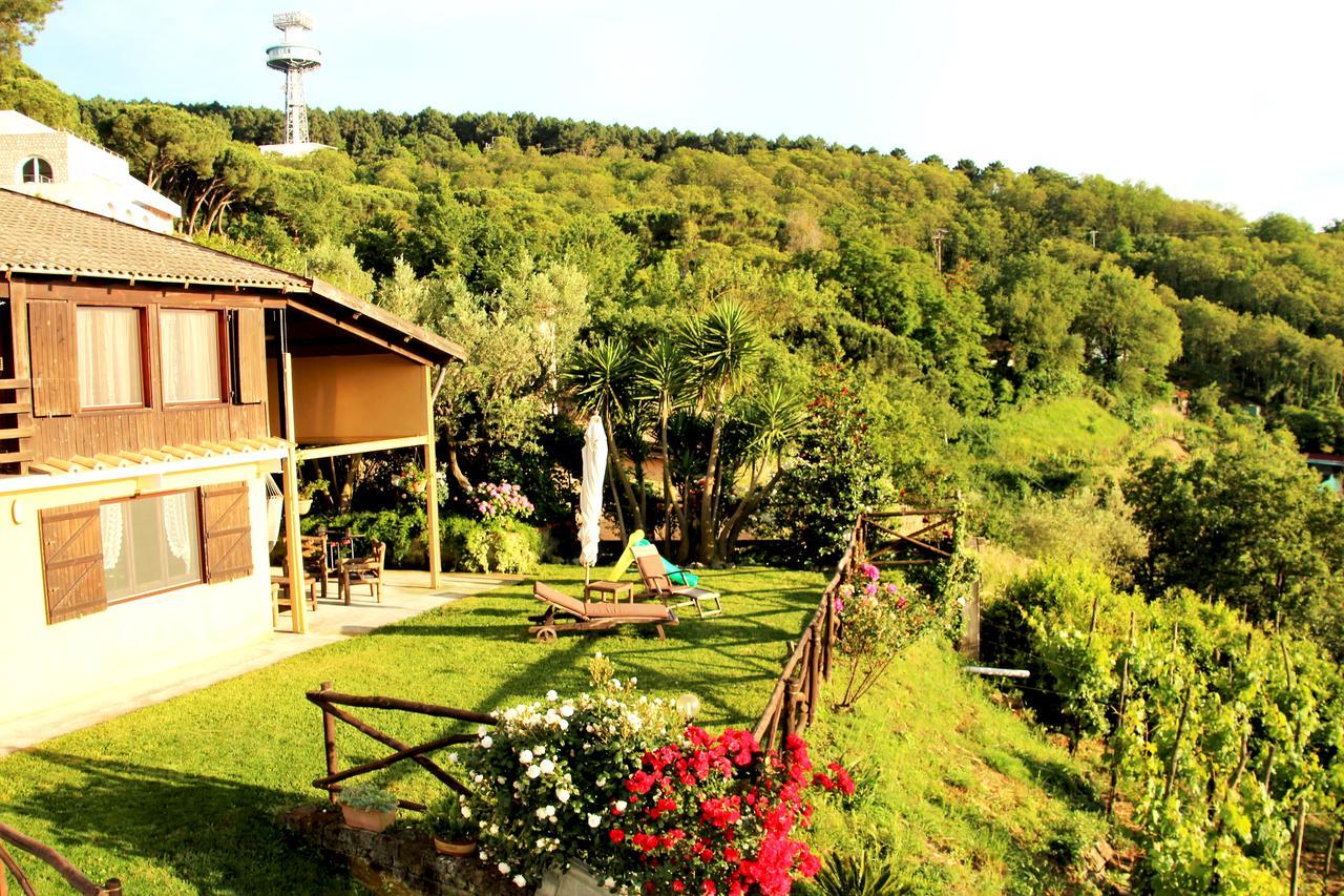 Chalet Annie Sorrento Exterior photo